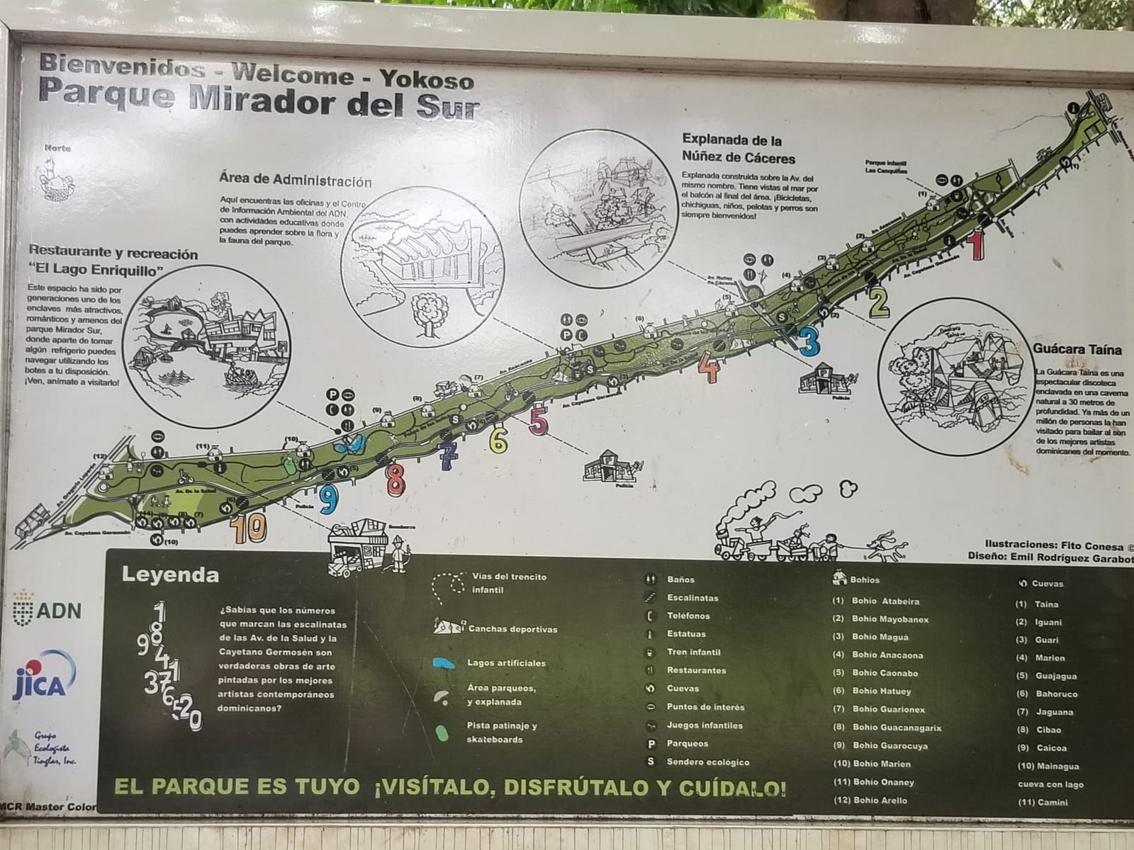 Paisaje verde